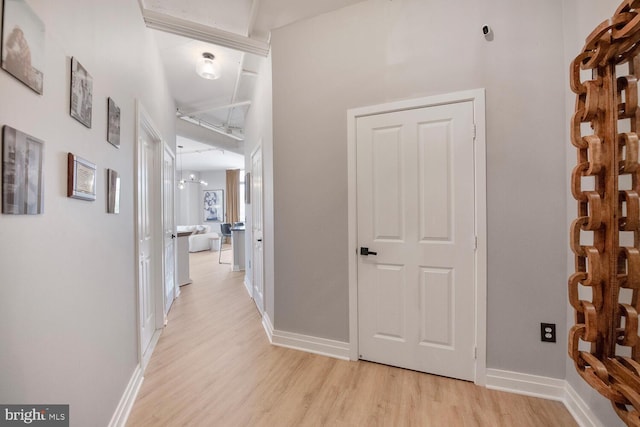 4480 Market Commons Dr Unit 215, Fairfax, VA 22033 - hall featuring light wood-style floors and baseboards