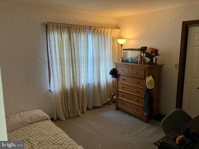 409 Rhoda Dr, Lancaster, PA 17601 - view of carpeted bedroom