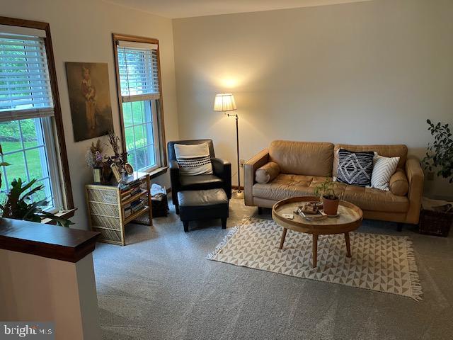 409 Rhoda Dr, Lancaster, PA 17601 - living room featuring carpet