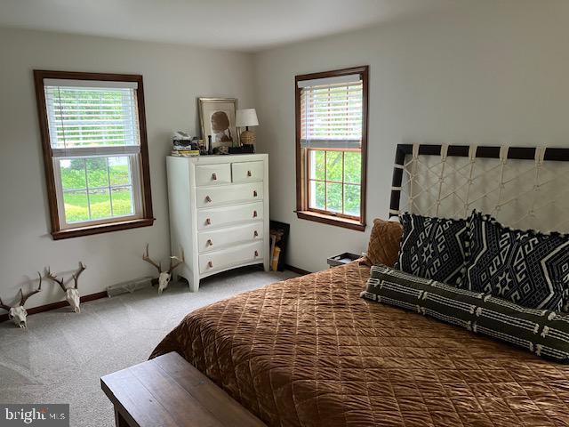 409 Rhoda Dr, Lancaster, PA 17601 - bedroom featuring carpet and baseboards