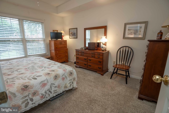 3301 Shellers Bnd Unit 909, State College, PA 16801 - bedroom with carpet and baseboards