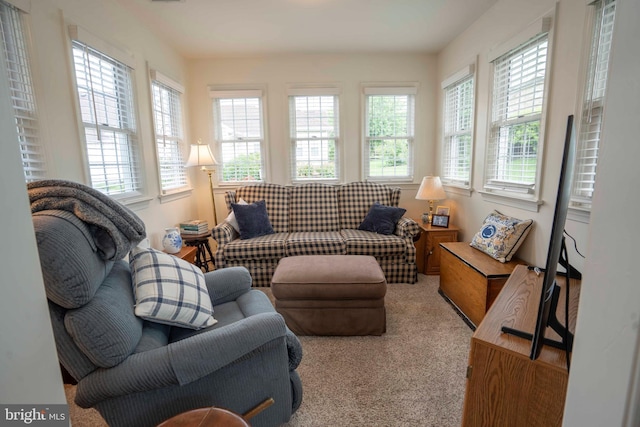 3301 Shellers Bnd Unit 909, State College, PA 16801 - view of carpeted living area