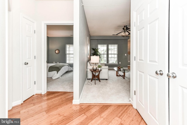 42435 Hollyhock Unit 302, Ashburn, VA 20148