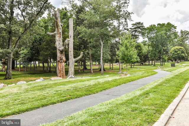 42435 Hollyhock Unit 302, Ashburn, VA 20148