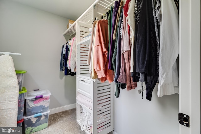 15065 Rock Point Rd, Newburg, MD 20664 - spacious closet with carpet floors