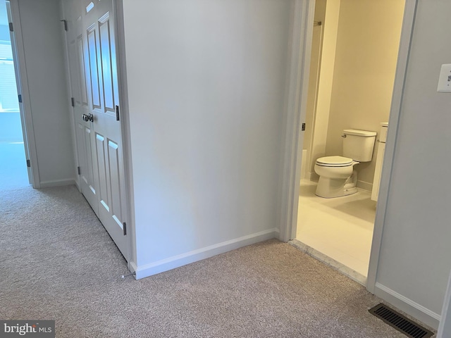 315 Allison Jane Dr Unit G20, Stevensville, MD 21666 - corridor featuring carpet