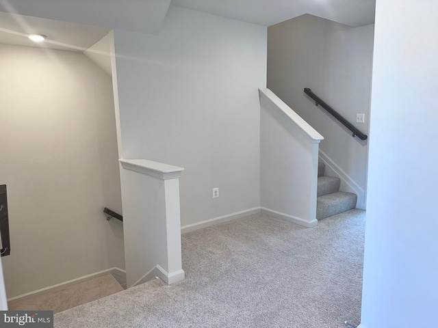 315 Allison Jane Dr Unit G20, Stevensville, MD 21666 - staircase with carpet floors and baseboards