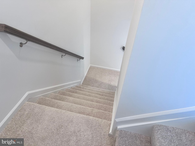 315 Allison Jane Dr Unit G20, Stevensville, MD 21666 - stairs featuring carpet floors and baseboards