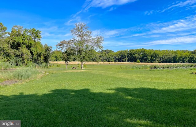 20395 Bowles Rd, Coltons Point, MD 20626