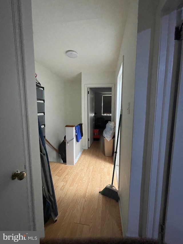 6207 Cardiff St, Philadelphia, PA 19149 - hall featuring light wood finished floors and an upstairs landing