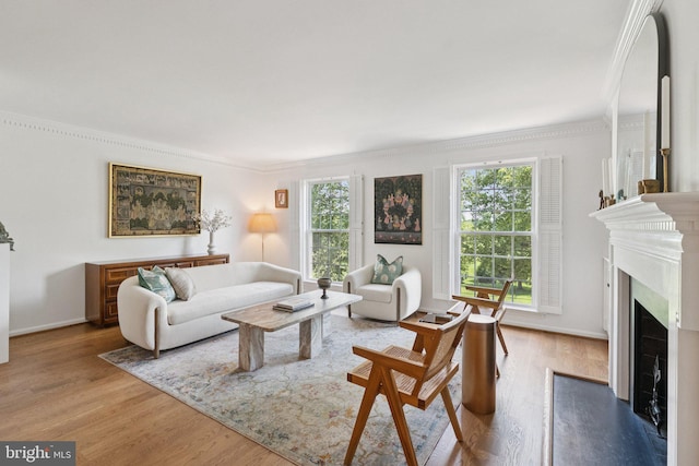 10905 Wickshire Way Unit G-2, North Bethesda, MD 20852 - living area with plenty of natural light, wood finished floors, crown molding, and a fireplace with flush hearth