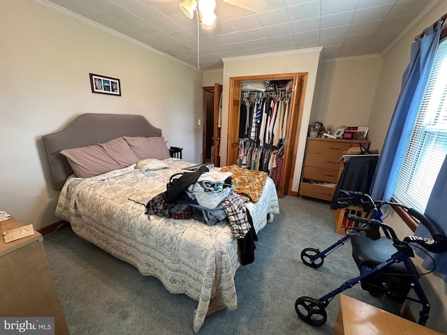 7819 Mentzer Gap Rd, Waynesboro, PA 17268 - bedroom featuring ornamental molding, carpet, and a closet