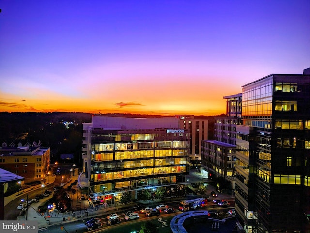 851 N Glebe Rd Unit 1304, Arlington, VA 22203 - view of city