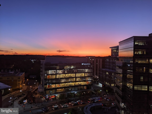 851 N Glebe Rd Unit 1304, Arlington, VA 22203 - city view