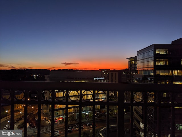 851 N Glebe Rd Unit 1304, Arlington, VA 22203 - view of city
