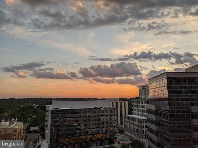851 N Glebe Rd Unit 1304, Arlington, VA 22203 - city view