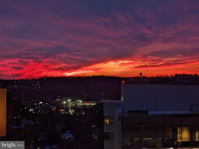 851 N Glebe Rd Unit 1304, Arlington, VA 22203 - view of city