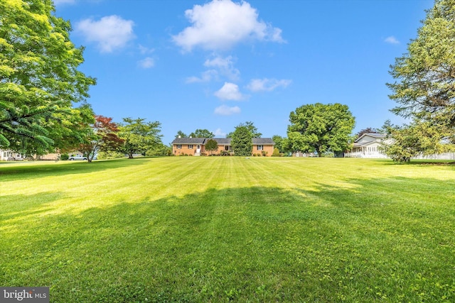 6505 Morningside Ct, Middletown, MD 21769 - view of green lawn