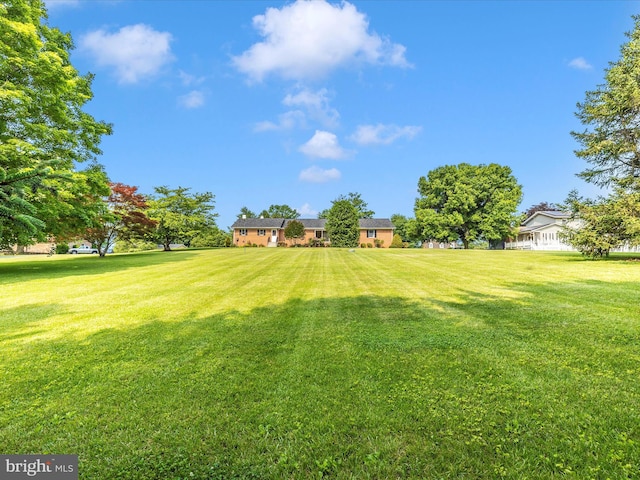 6505 Morningside Ct, Middletown, MD 21769 - view of green lawn
