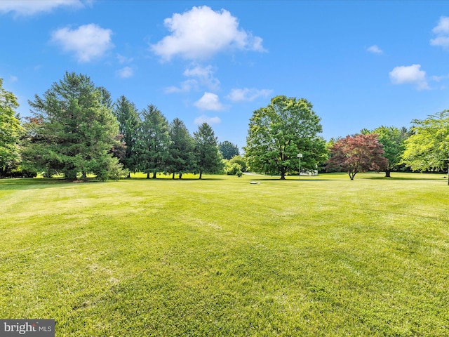 6505 Morningside Ct, Middletown, MD 21769 - view of grassy yard with view of scattered trees