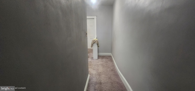 2308 W Mosher St, Baltimore, MD 21216 - hallway featuring carpet and baseboards