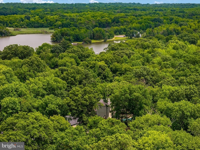 1015 S Creek View Ct, Churchton, MD 20733 - aerial view of a heavily wooded area and a nearby body of water