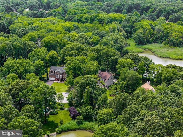 1015 S Creek View Ct, Churchton, MD 20733 - bird's eye view of a heavily wooded area and a large body of water
