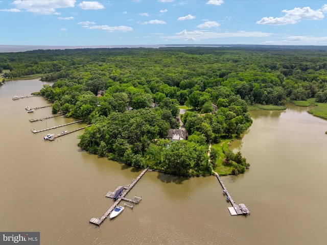 1015 S Creek View Ct, Churchton, MD 20733 - drone / aerial view of a forest and a nearby body of water