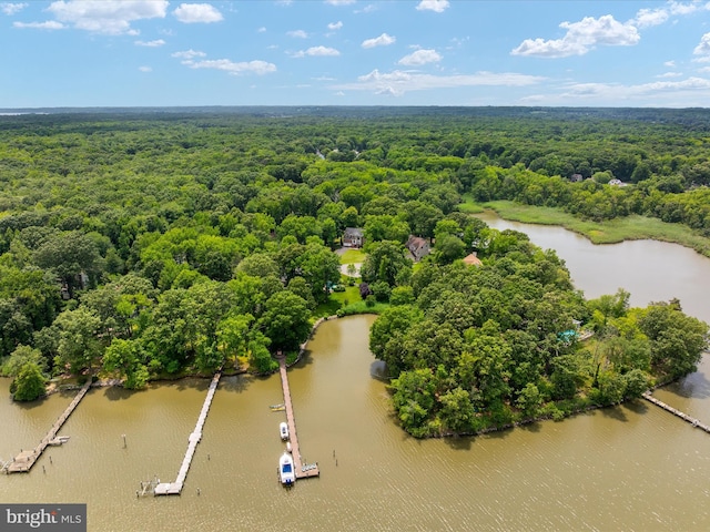 1015 S Creek View Ct, Churchton, MD 20733 - drone / aerial view of a heavily wooded area and a nearby body of water