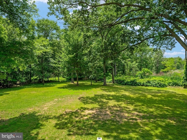 1015 S Creek View Ct, Churchton, MD 20733 - view of grassy yard