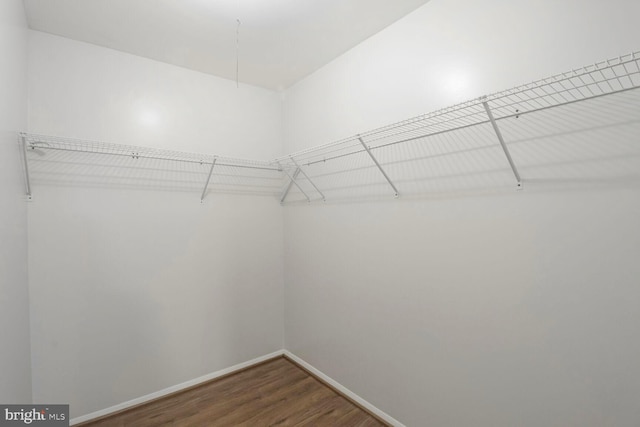 5646 Mount Burnside Way, Burke, VA 22015 - spacious closet with wood finished floors