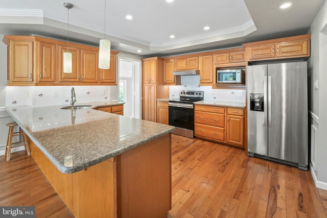 51 E Ann Rd, Broomall, PA 19008 - kitchen with appliances with stainless steel finishes, under cabinet range hood, a tray ceiling, light wood-style flooring, and recessed lighting