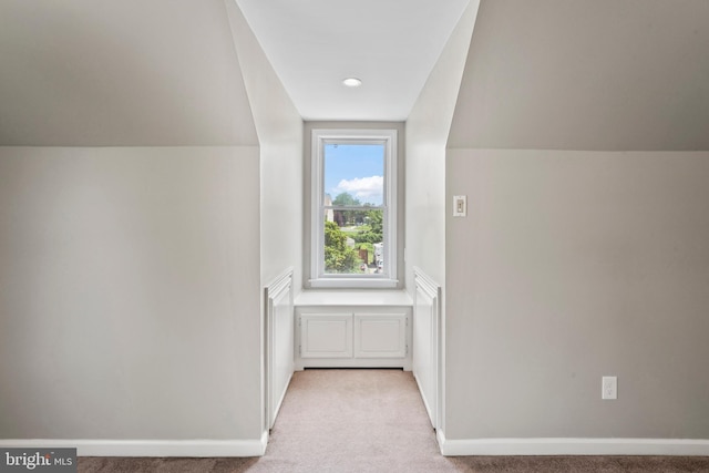 51 E Ann Rd, Broomall, PA 19008 - additional living space featuring light carpet and vaulted ceiling
