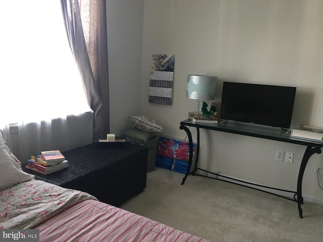 19609 Galway Bay Cir Unit 303, Germantown, MD 20874 - view of carpeted bedroom