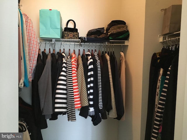19609 Galway Bay Cir Unit 303, Germantown, MD 20874 - view of closet