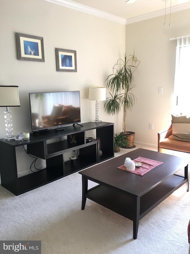 19609 Galway Bay Cir Unit 303, Germantown, MD 20874 - living area featuring ornamental molding and carpet floors