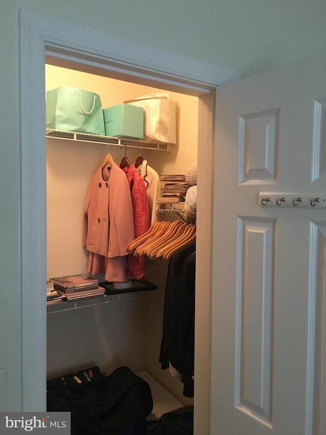 19609 Galway Bay Cir Unit 303, Germantown, MD 20874 - view of closet