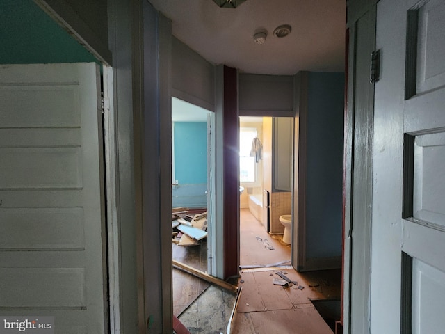 3137 Oakford Ave, Baltimore, MD 21215 - view of corridor
