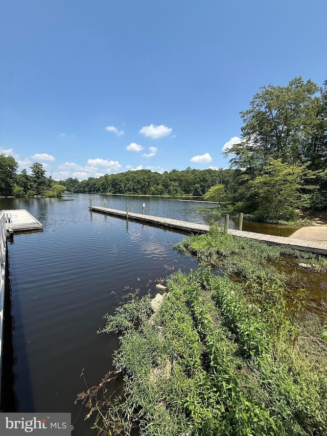 3086 Bridgeton Ct, Woodbridge, VA 22192 - dock with a water view and a wooded view
