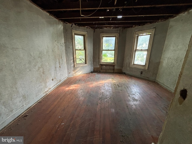 381 National Ave, Winchester, VA 22601 - unfurnished room with hardwood / wood-style flooring