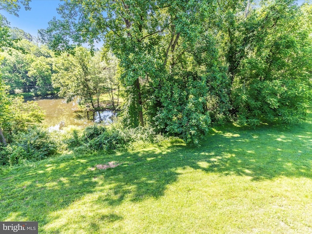 4431 Cherry Tree Ln, Sykesville, MD 21784 - view of green lawn
