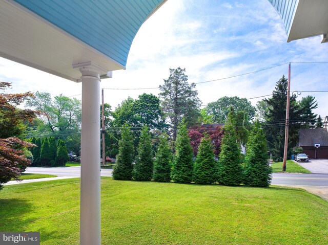319 W Conestoga Rd, Devon, PA 19333 - view of green lawn