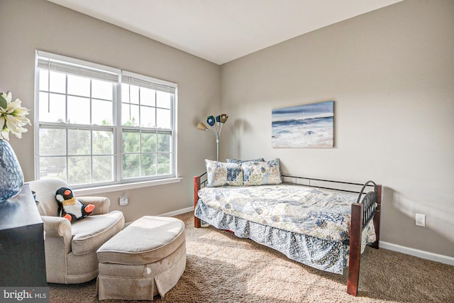1814 S Pollock Way, Middletown, DE 19709 - bedroom with carpet floors and baseboards