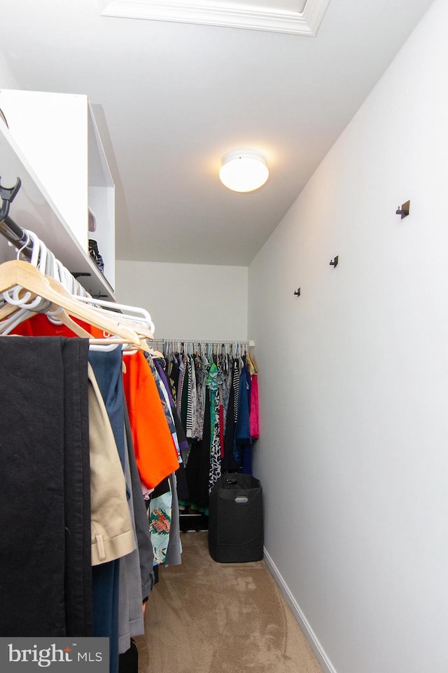 5997 Florey Rd, Hanover, MD 21076 - spacious closet featuring carpet floors