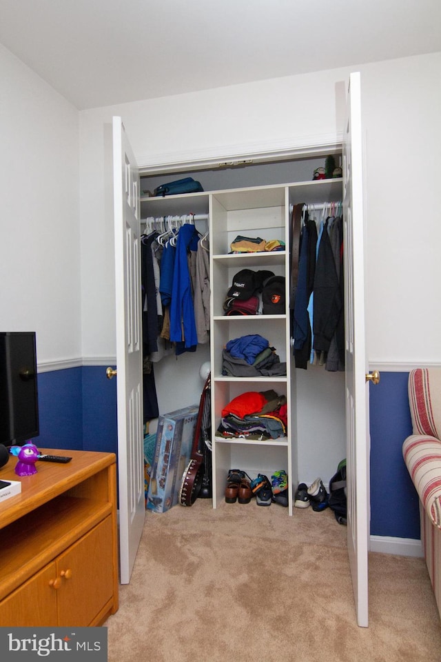 5997 Florey Rd, Hanover, MD 21076 - view of closet