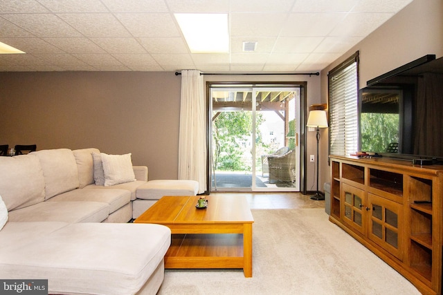 5997 Florey Rd, Hanover, MD 21076 - living area with a paneled ceiling and light carpet
