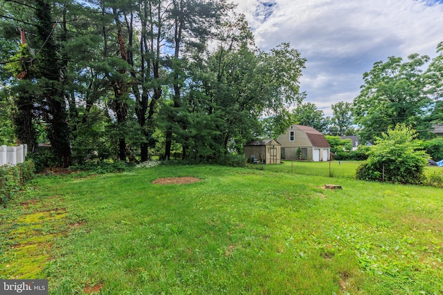 8207 Rockdale Ave, Baltimore, MD 21244 - view of yard with a garage and a storage unit