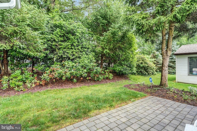 231 Valley Forge Dr, Little Egg Harbor Twp, NJ 08087 - view of green lawn featuring a patio