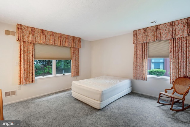 231 Valley Forge Dr, Little Egg Harbor Twp, NJ 08087 - bedroom with carpet and baseboards