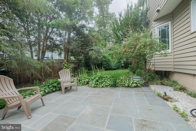 1439 Millikens Bend Rd, Herndon, VA 20170 - view of patio / terrace